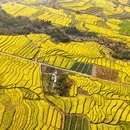 保山旅游 缩略图 6
