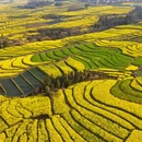 保山旅游 缩略图 7