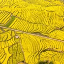 保山旅游 缩略图 3