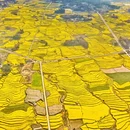 保山旅游 缩略图 5