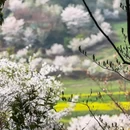 苏州旅游 缩略图 2