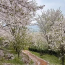 苏州旅游 缩略图 4