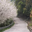 苏州旅游 缩略图 1