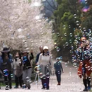 苏州旅游 缩略图 9