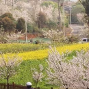 苏州旅游 缩略图 6