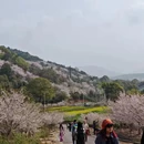 苏州旅游 缩略图 10
