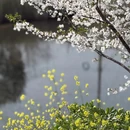 苏州旅游 缩略图 7
