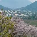 苏州旅游 缩略图 11