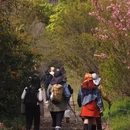 苏州旅游 缩略图 12
