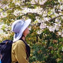 苏州旅游 缩略图 15