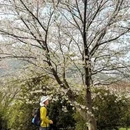 苏州旅游 缩略图 14