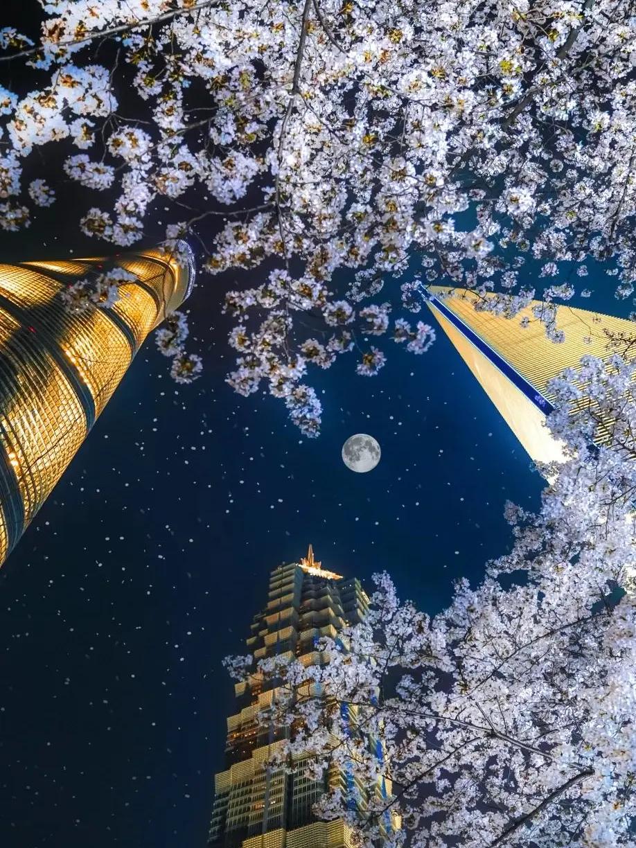 上海旅游