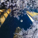 上海旅游 缩略图 1