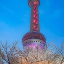 上海旅游 缩略图 5