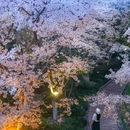 上海旅游 缩略图 2