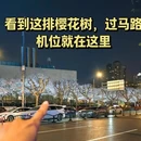 上海旅游 缩略图 11