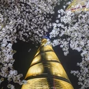 上海旅游 缩略图 12