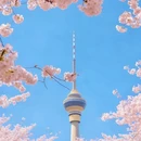北京旅游 缩略图 3