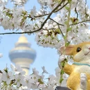 北京旅游 缩略图 4