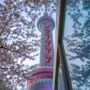 上海旅游 缩略图 7