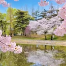 北京旅游 缩略图 5
