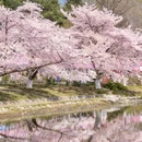 北京旅游 缩略图 6
