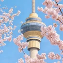 北京旅游 缩略图 8