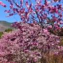 北京旅游 缩略图 11