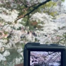 无锡旅游 缩略图 6
