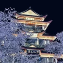 无锡旅游 缩略图 2