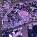 无锡旅游 缩略图 5