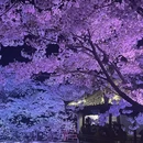 无锡旅游 缩略图 4