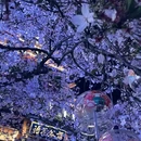无锡旅游 缩略图 1