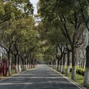 上海旅游 缩略图 3