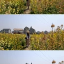 上海旅游 缩略图 9
