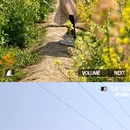 上海旅游 缩略图 10