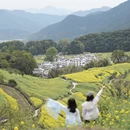 黄山旅游 缩略图 4