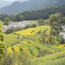 黄山旅游 缩略图 6