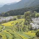 黄山旅游 缩略图 7