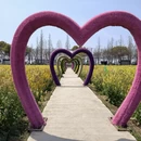 上海旅游 缩略图 12