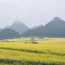 黔西南旅游 缩略图 2