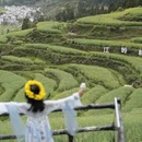黄山旅游 缩略图 9