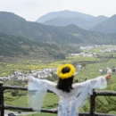 黄山旅游 缩略图 11