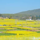保山旅游 缩略图 2