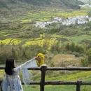 黄山旅游 缩略图 14