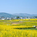 保山旅游 缩略图 1