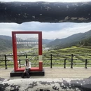 黄山旅游 缩略图 12