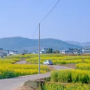 保山旅游 缩略图 6