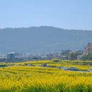 保山旅游 缩略图 4