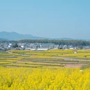 保山旅游 缩略图 5